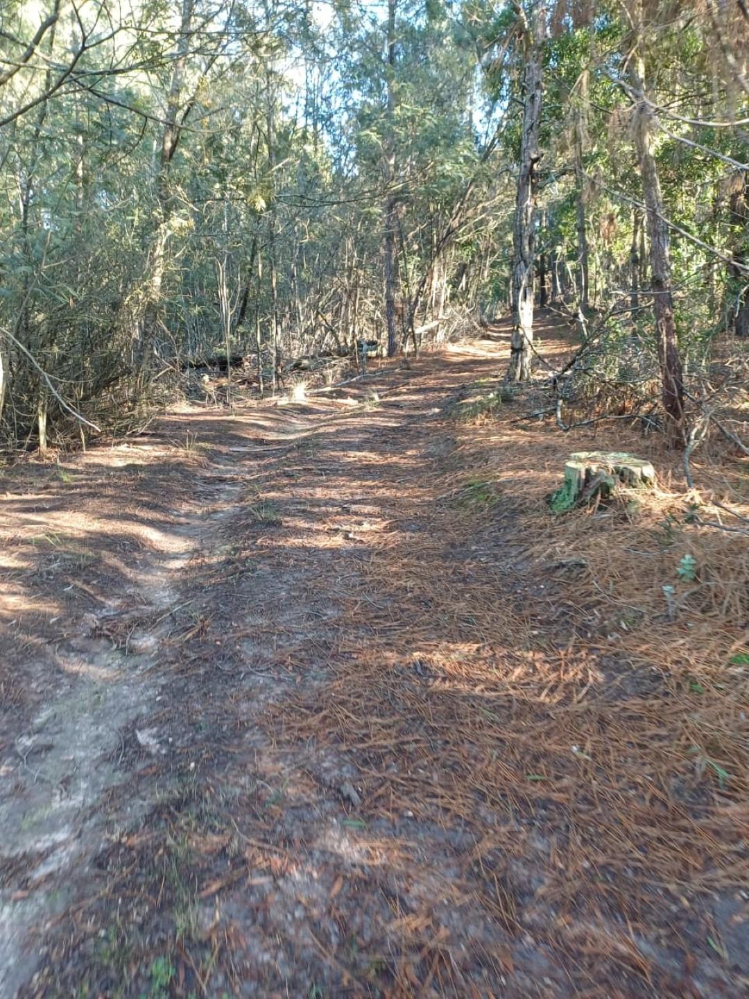 Image 3 of 6