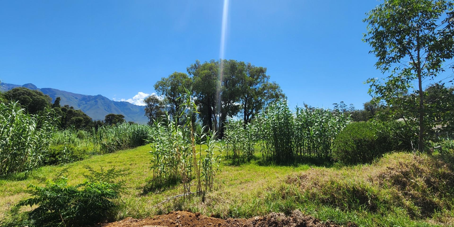 Image 4 of 6
