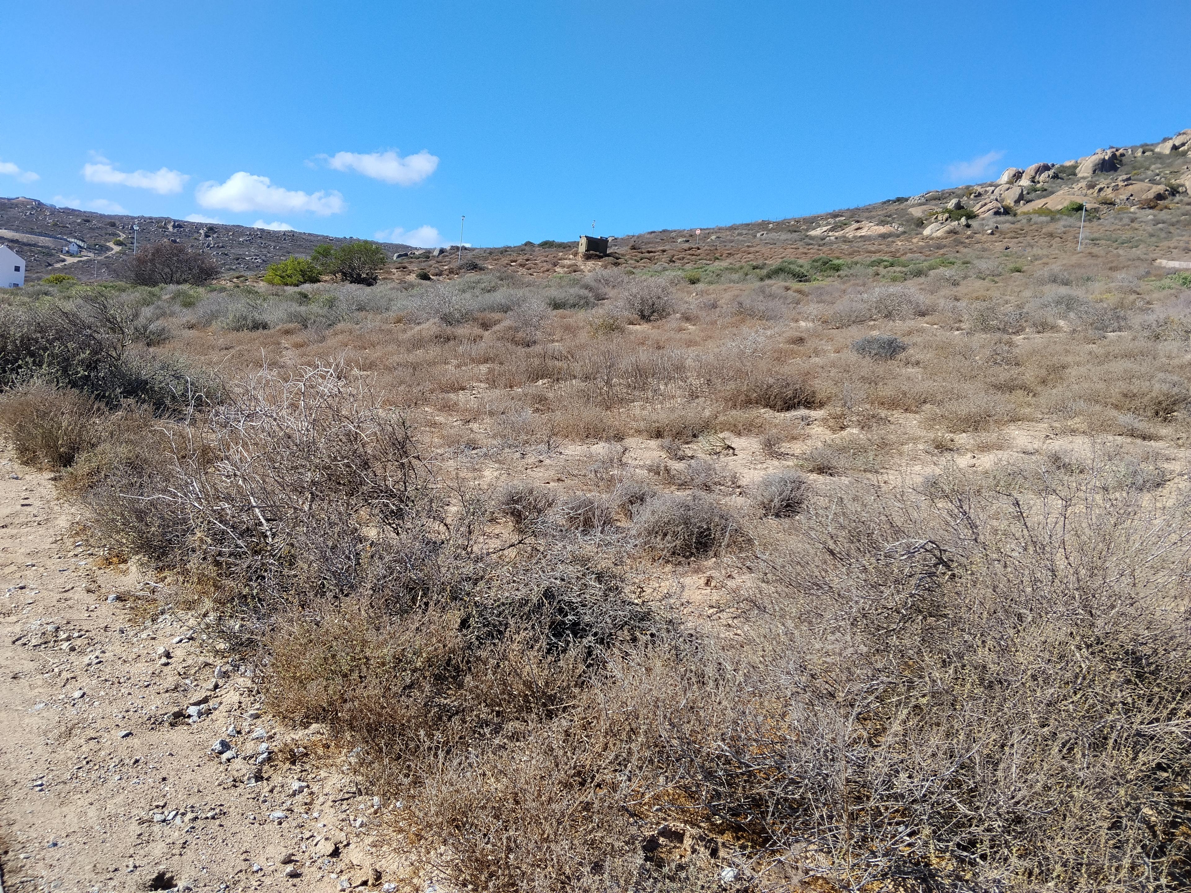 Image 4 of 6