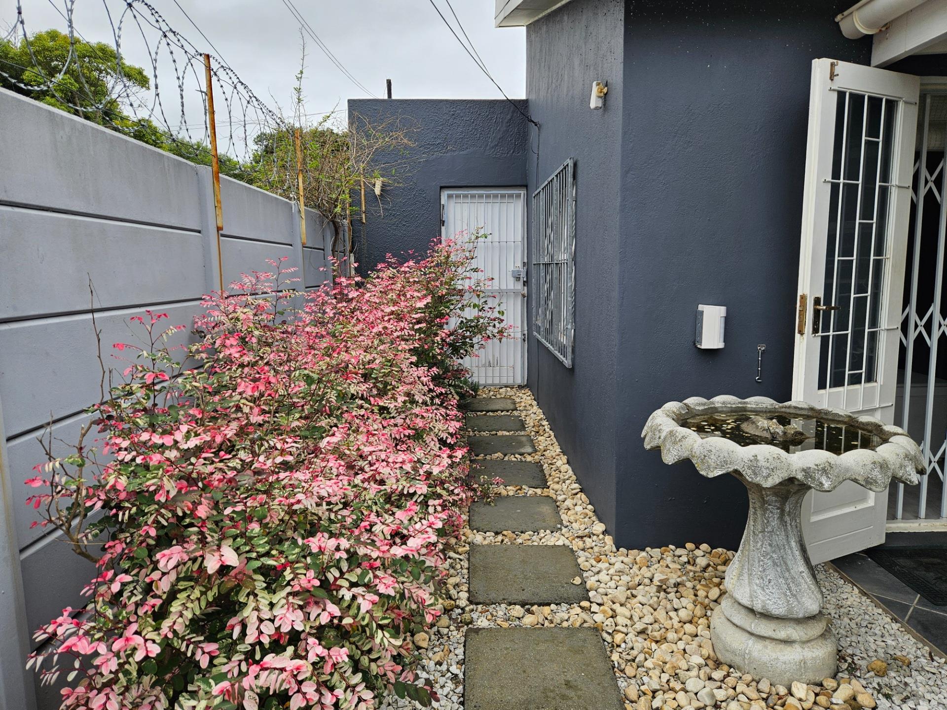 Image 25