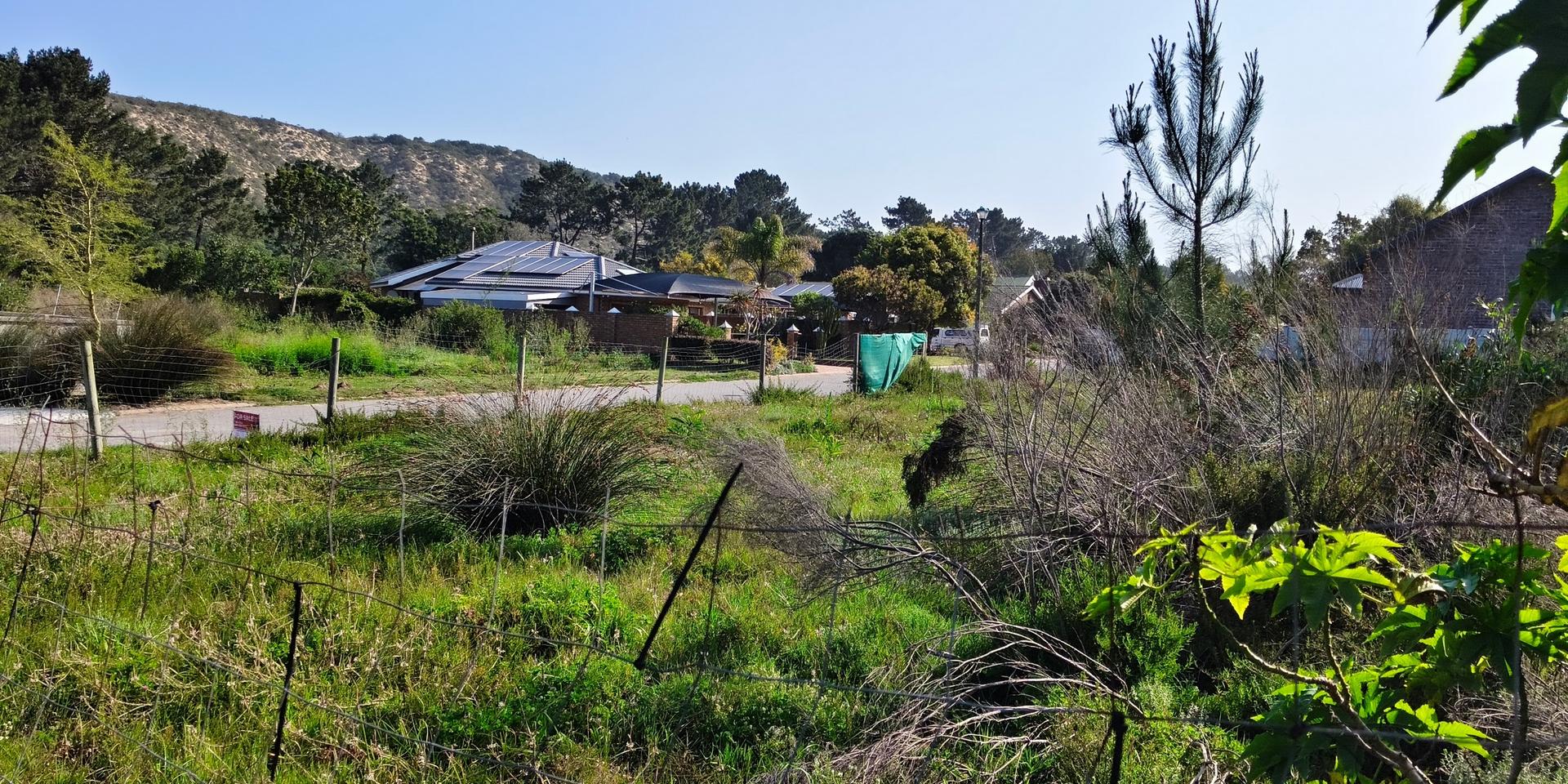 Image 4 of 6