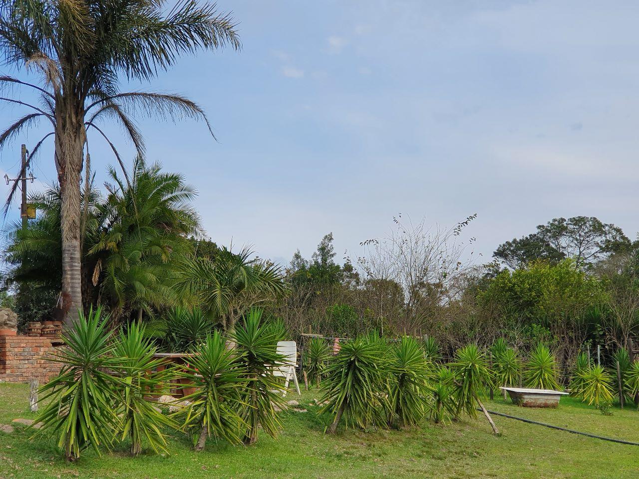 Image 14