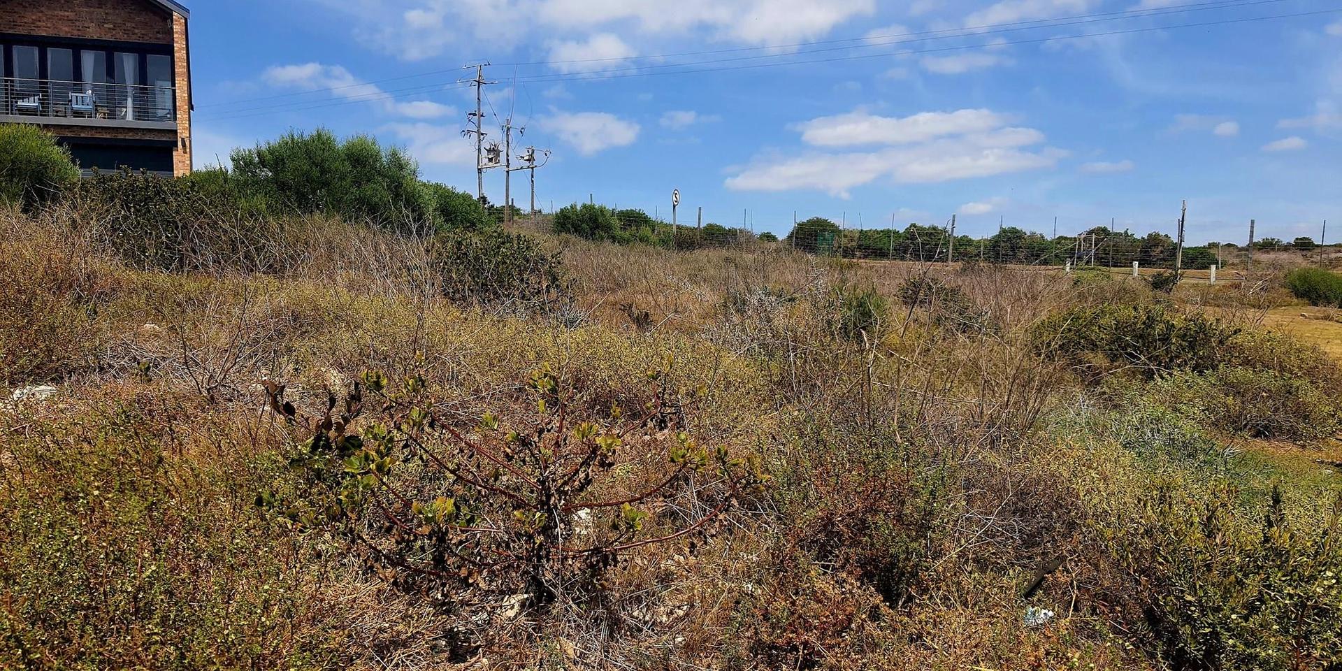Image 5 of 6