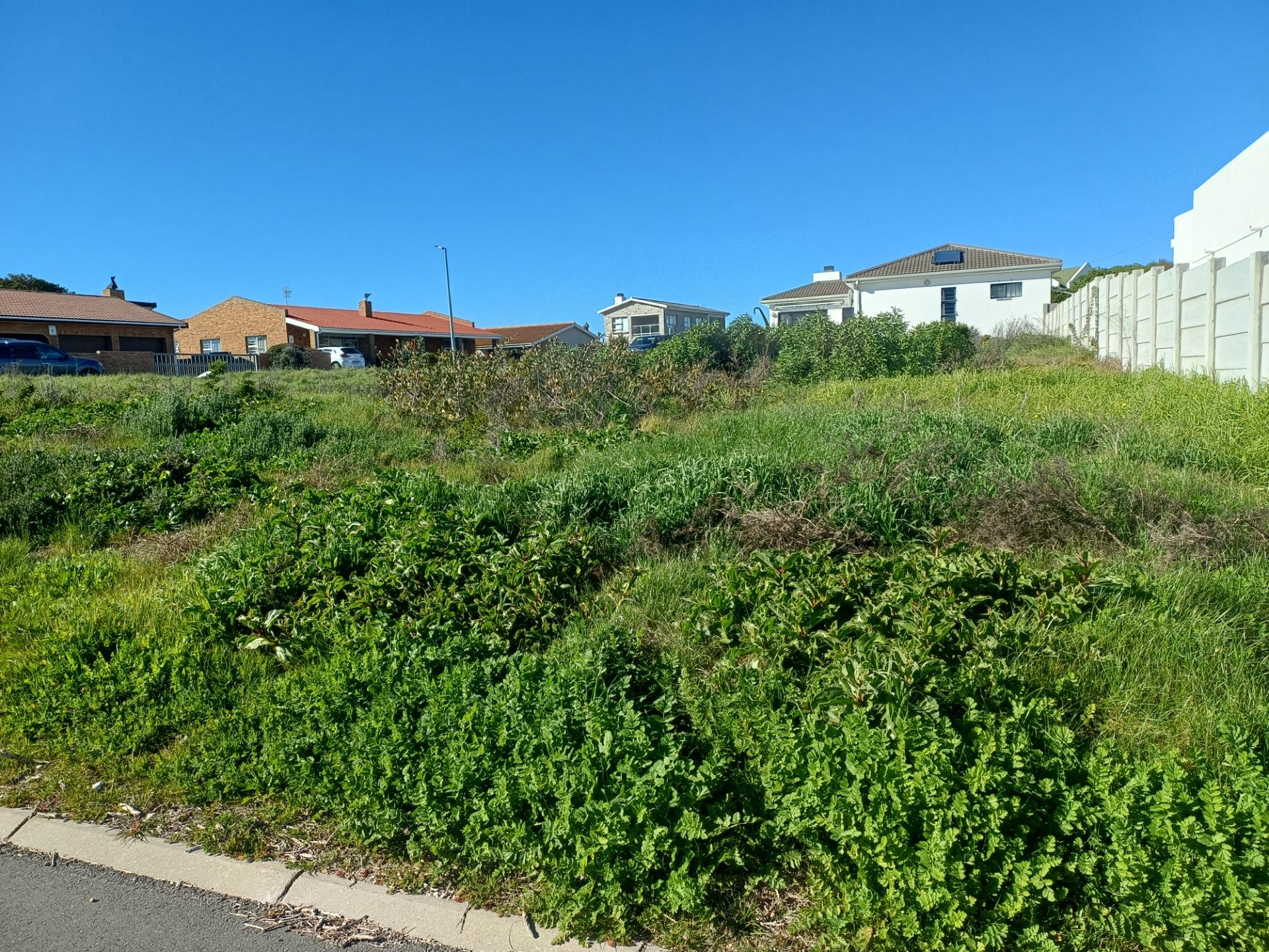 Image 3 of 6