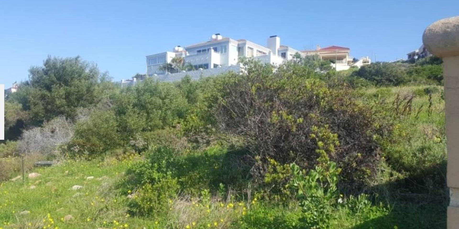 Image 4 of 6