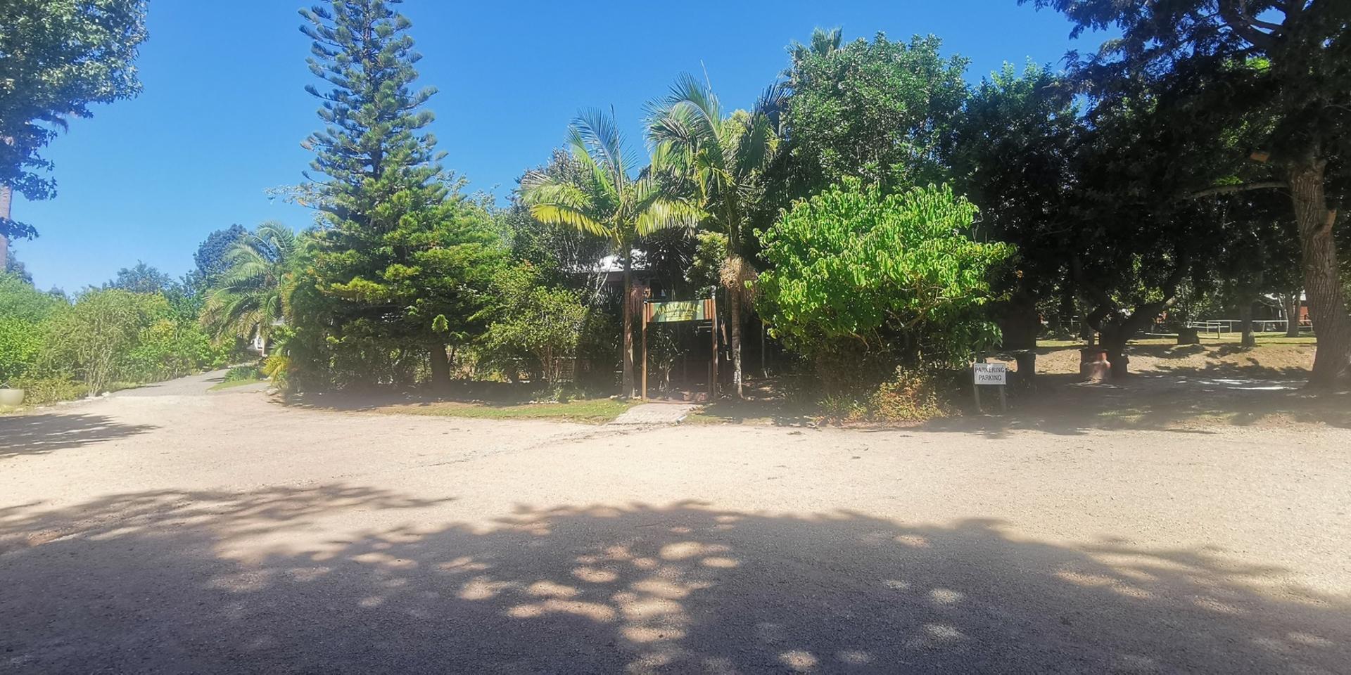 Image 4 of 6