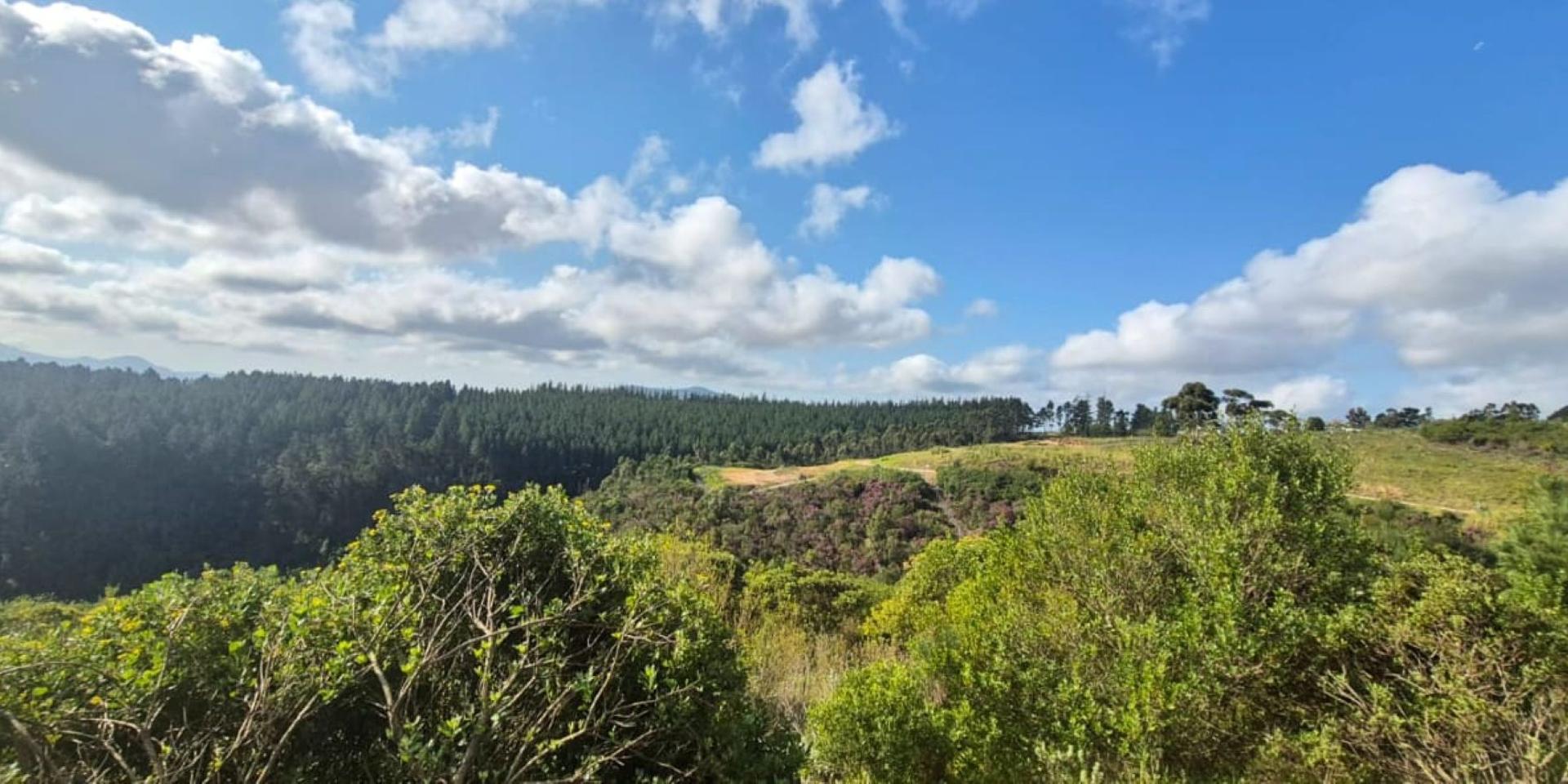 Image 3 of 6