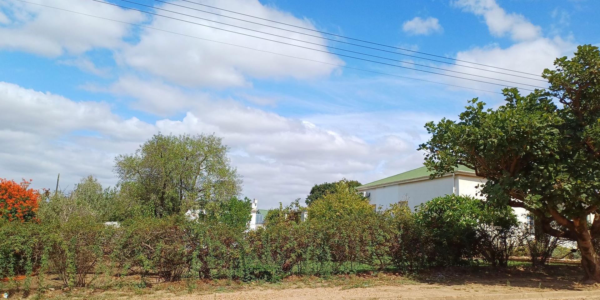 Image 4 of 6