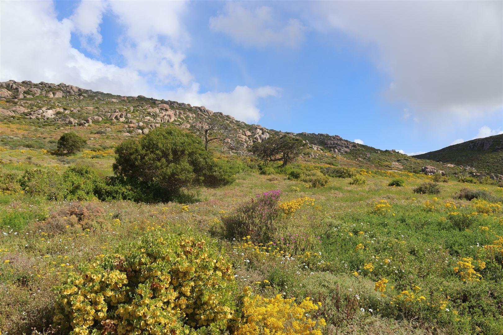 Image 18