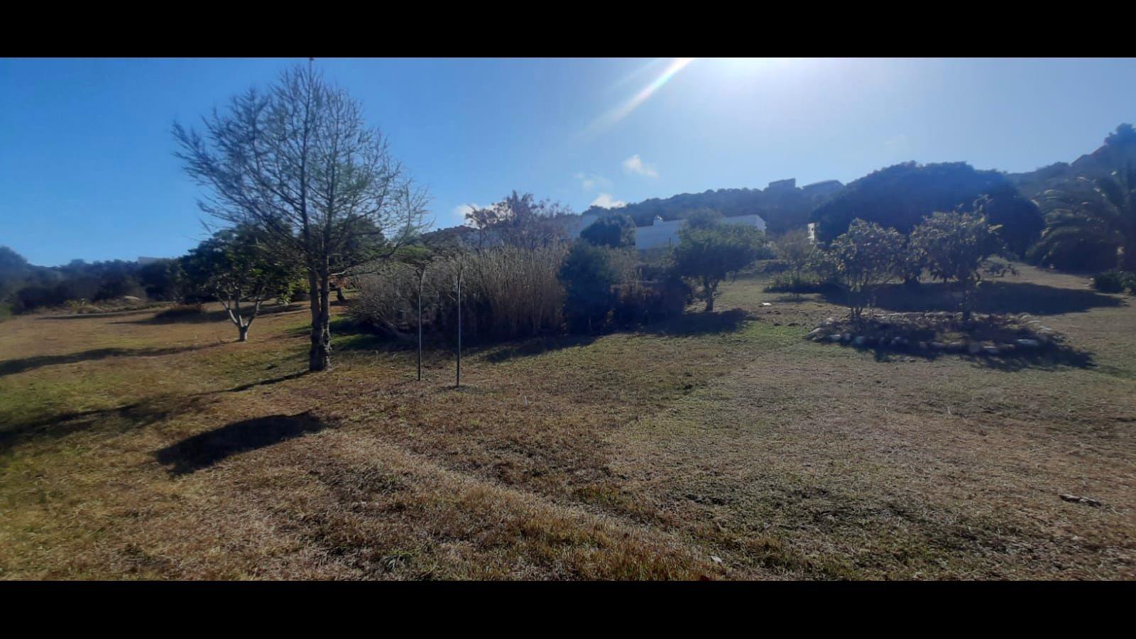 Image 4 of 6