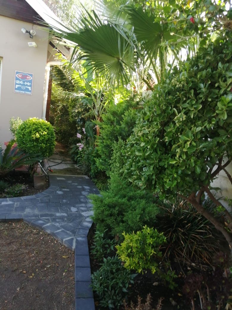 Image 19