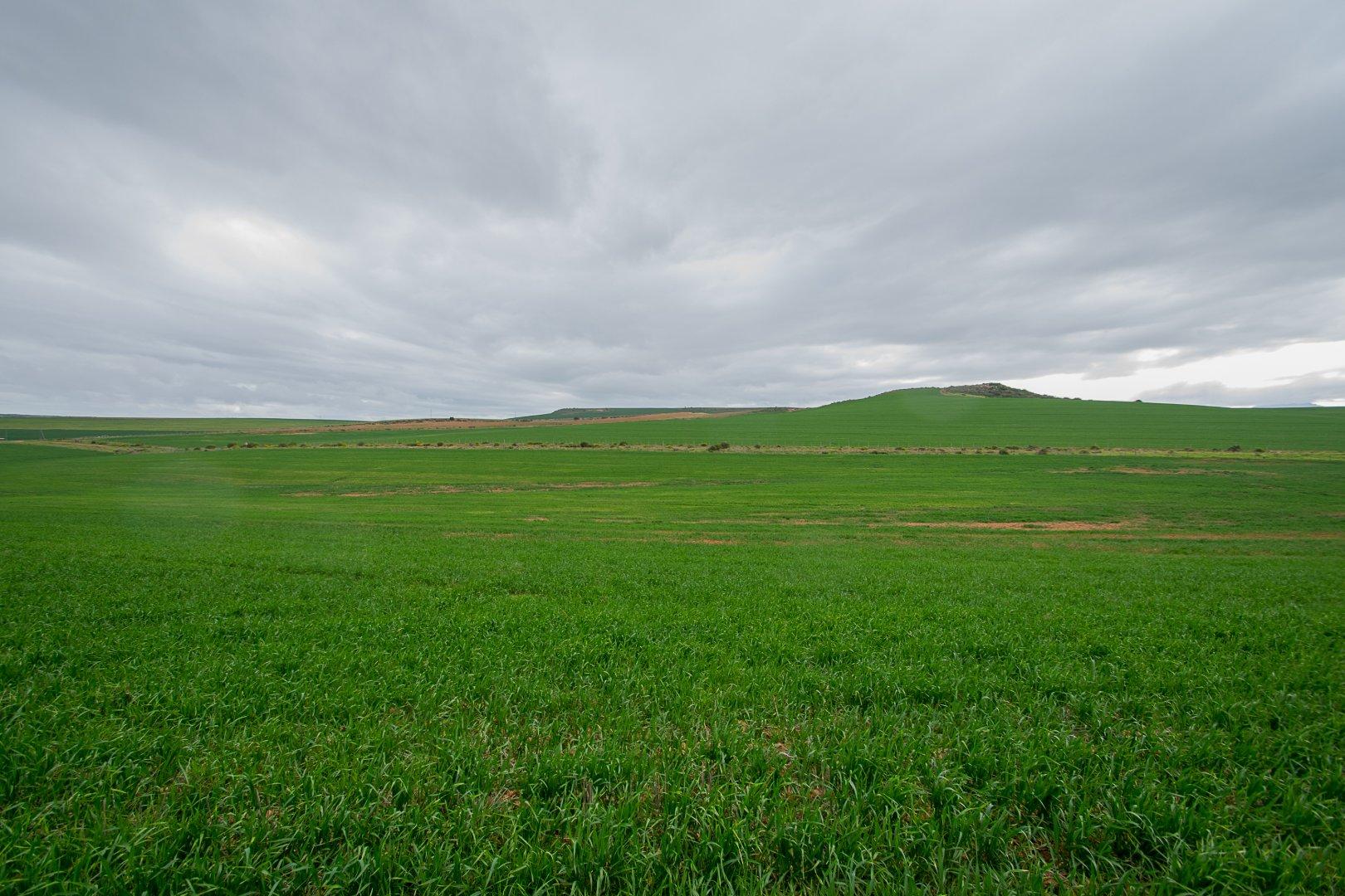 Image 20