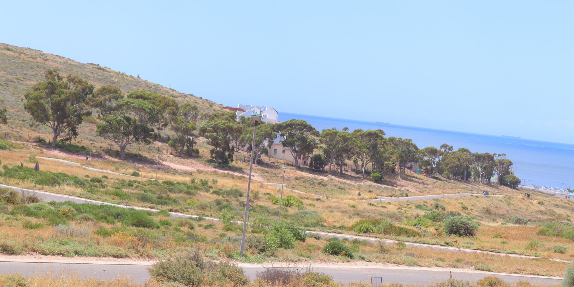 Image 3 of 6