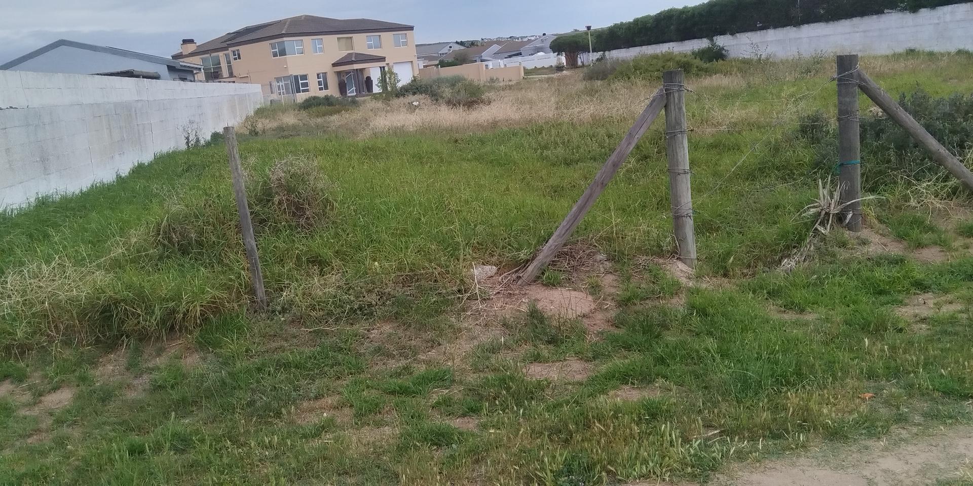 Image 5 of 6