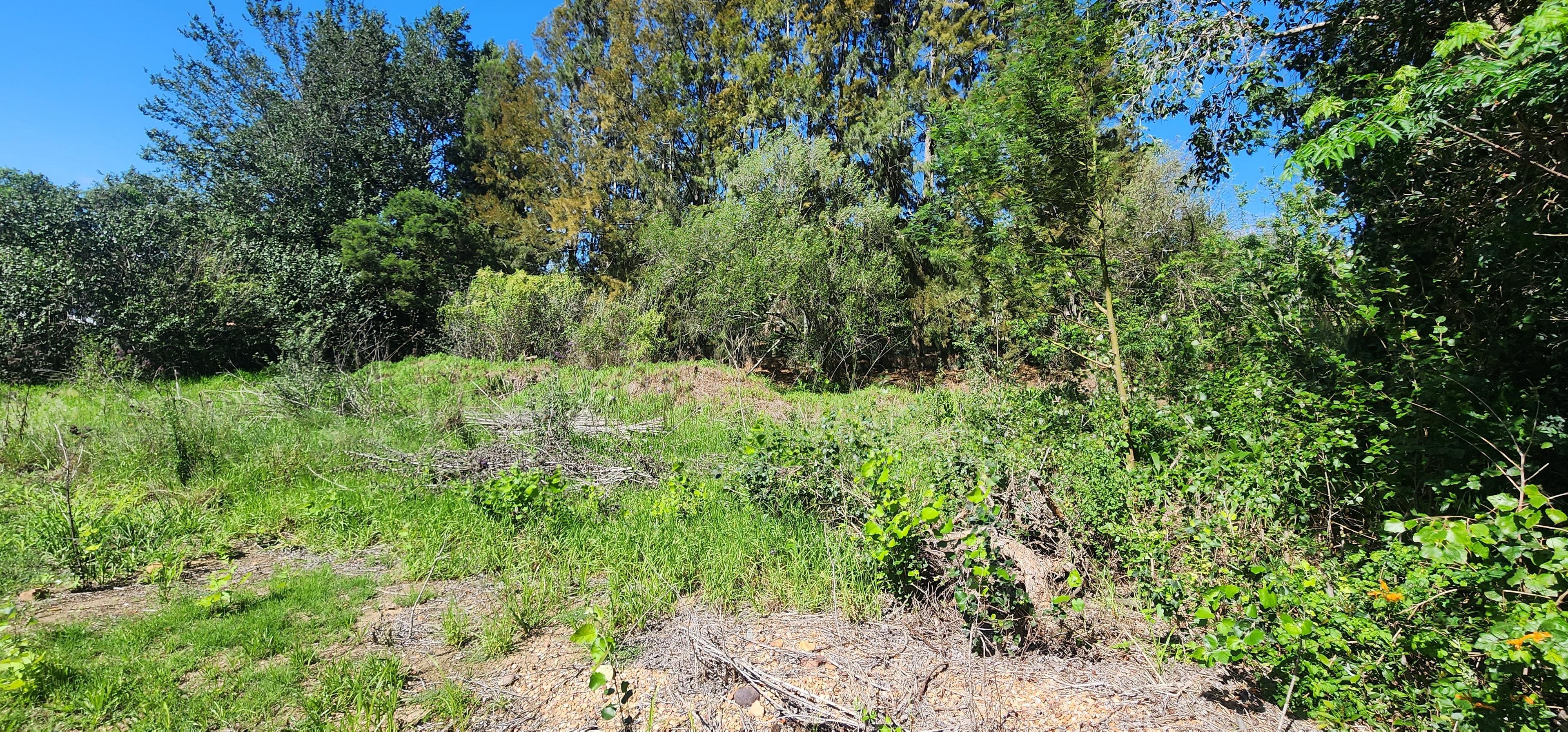 Image 3 of 6