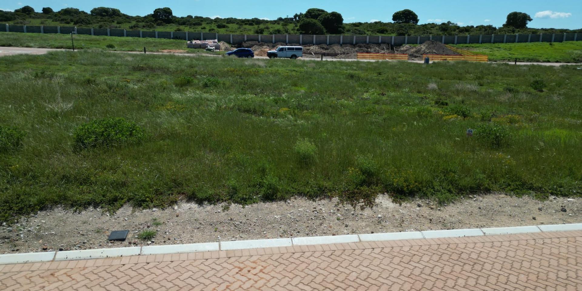 Image 4 of 6