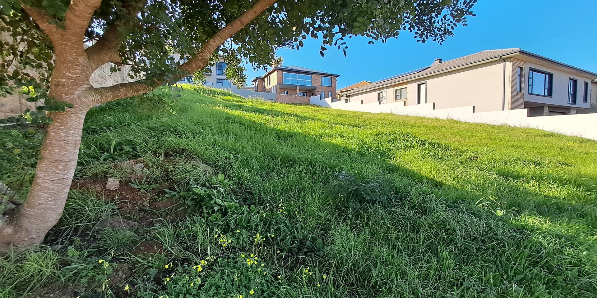 Image 4 of 6