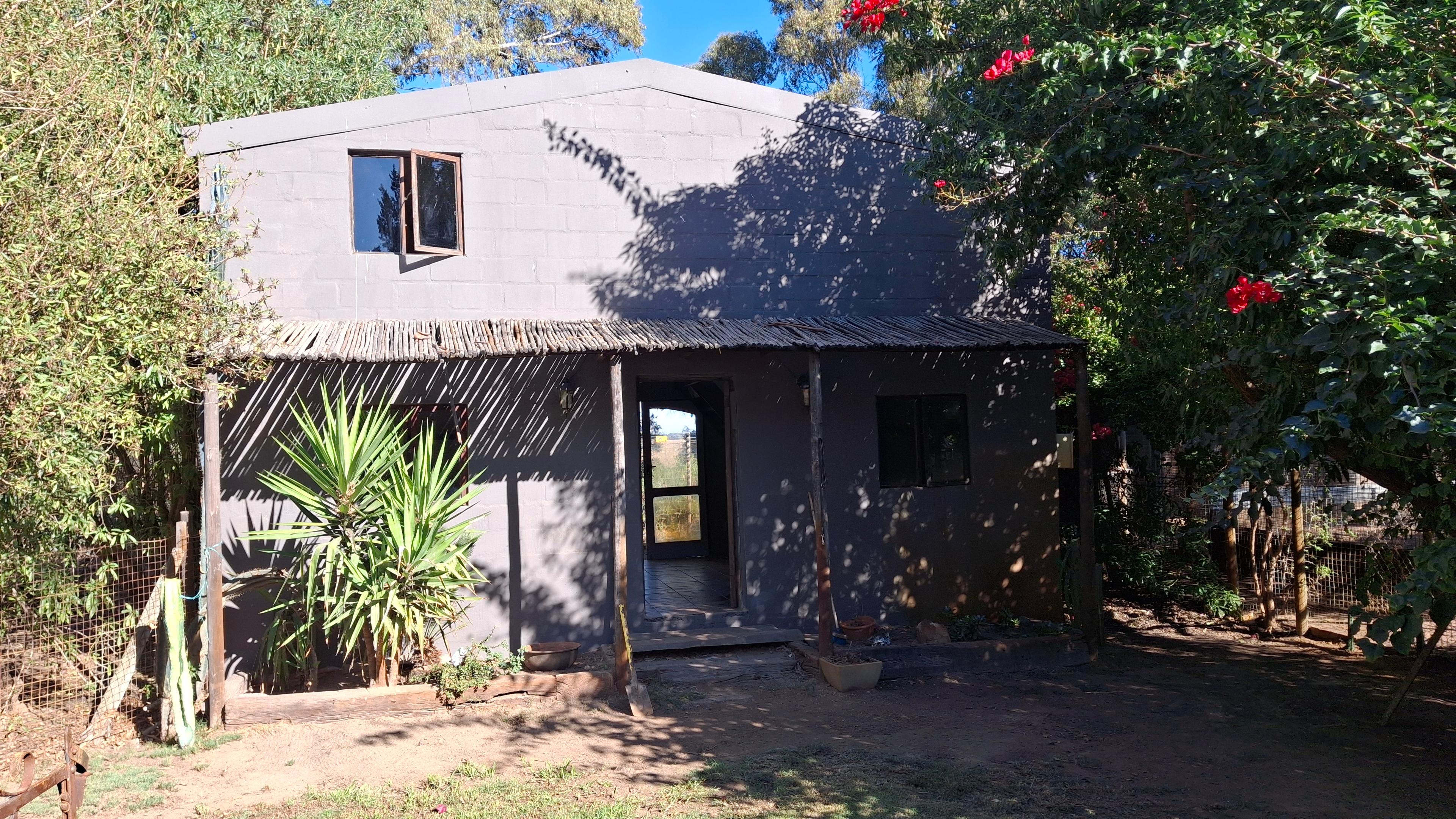 Image 7