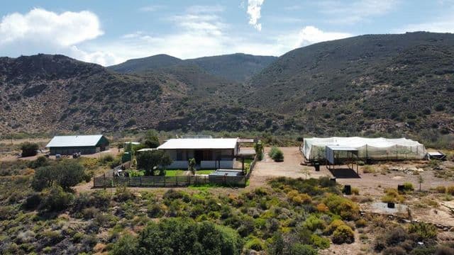 Image 4 of 6