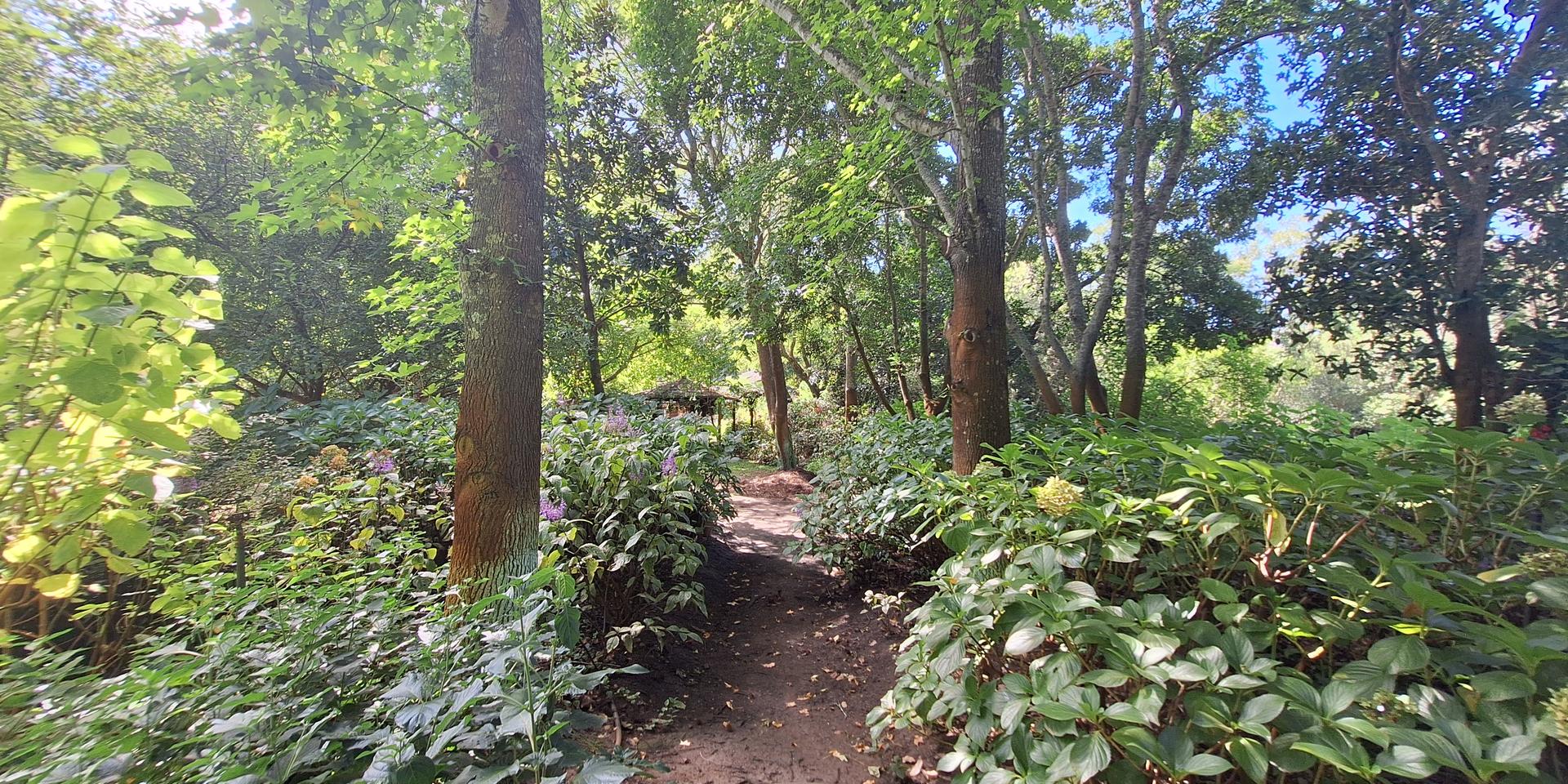 Image 4 of 6