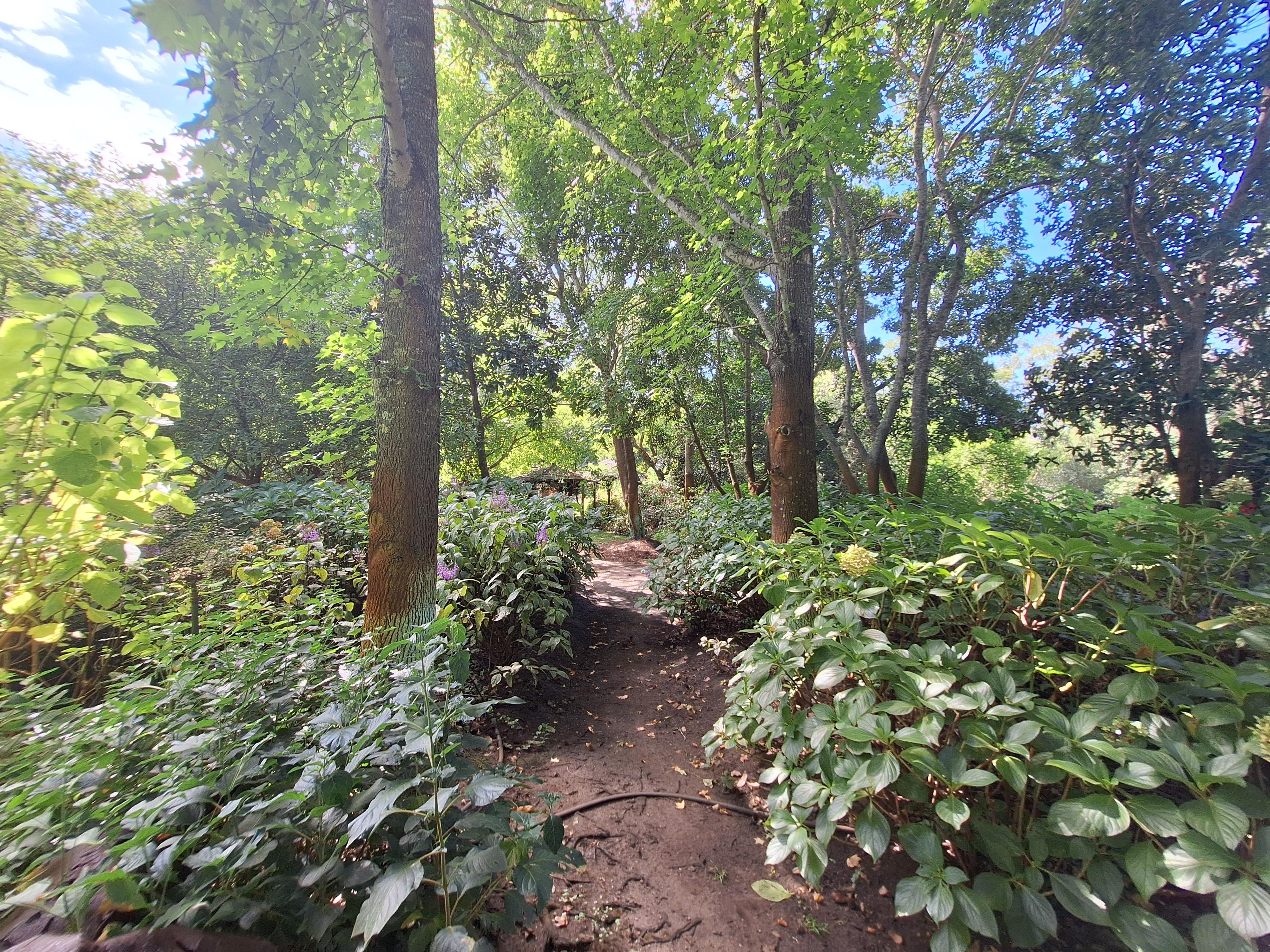 Image 4 of 6