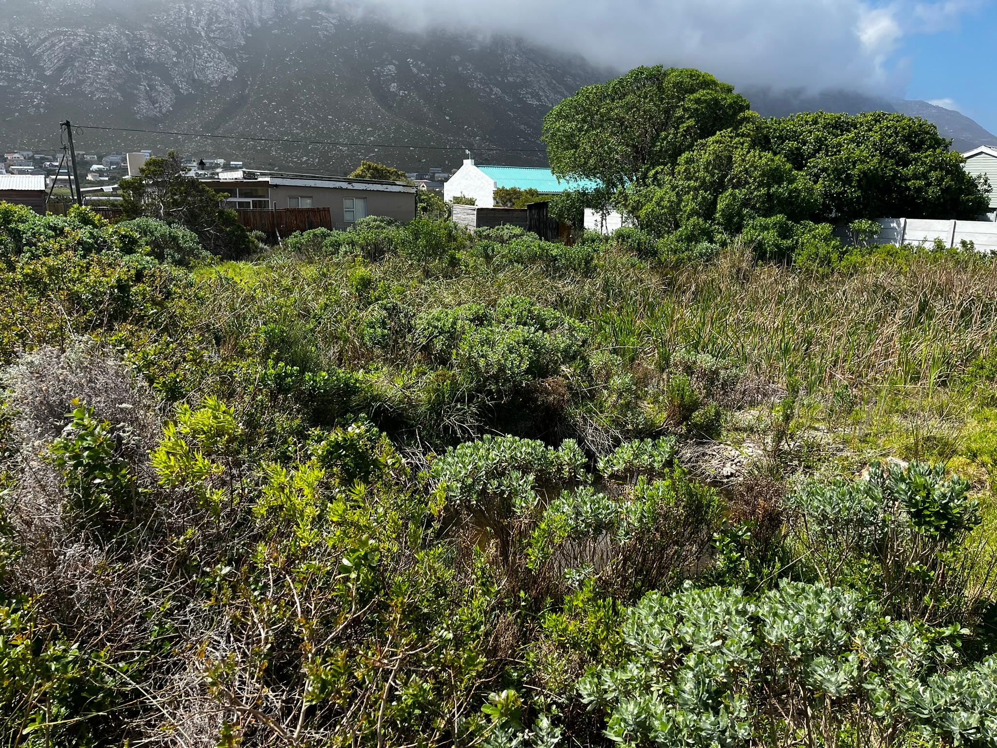 Image 5 of 6