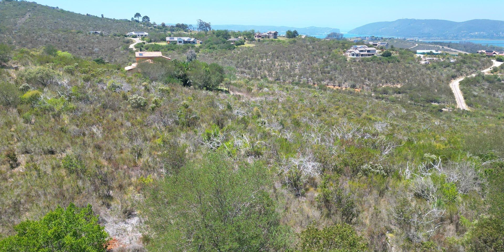 Image 5 of 6