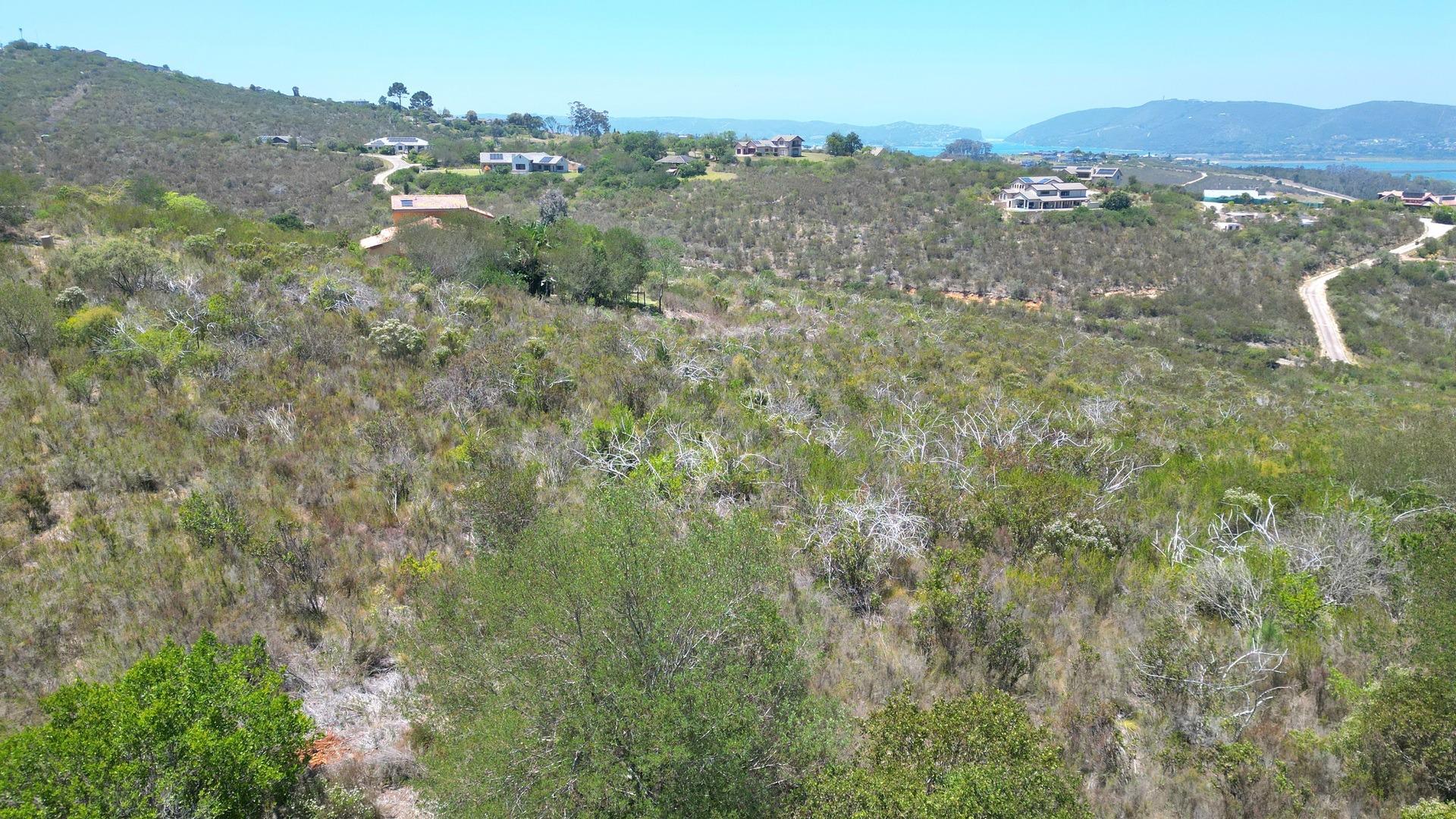Image 5 of 6