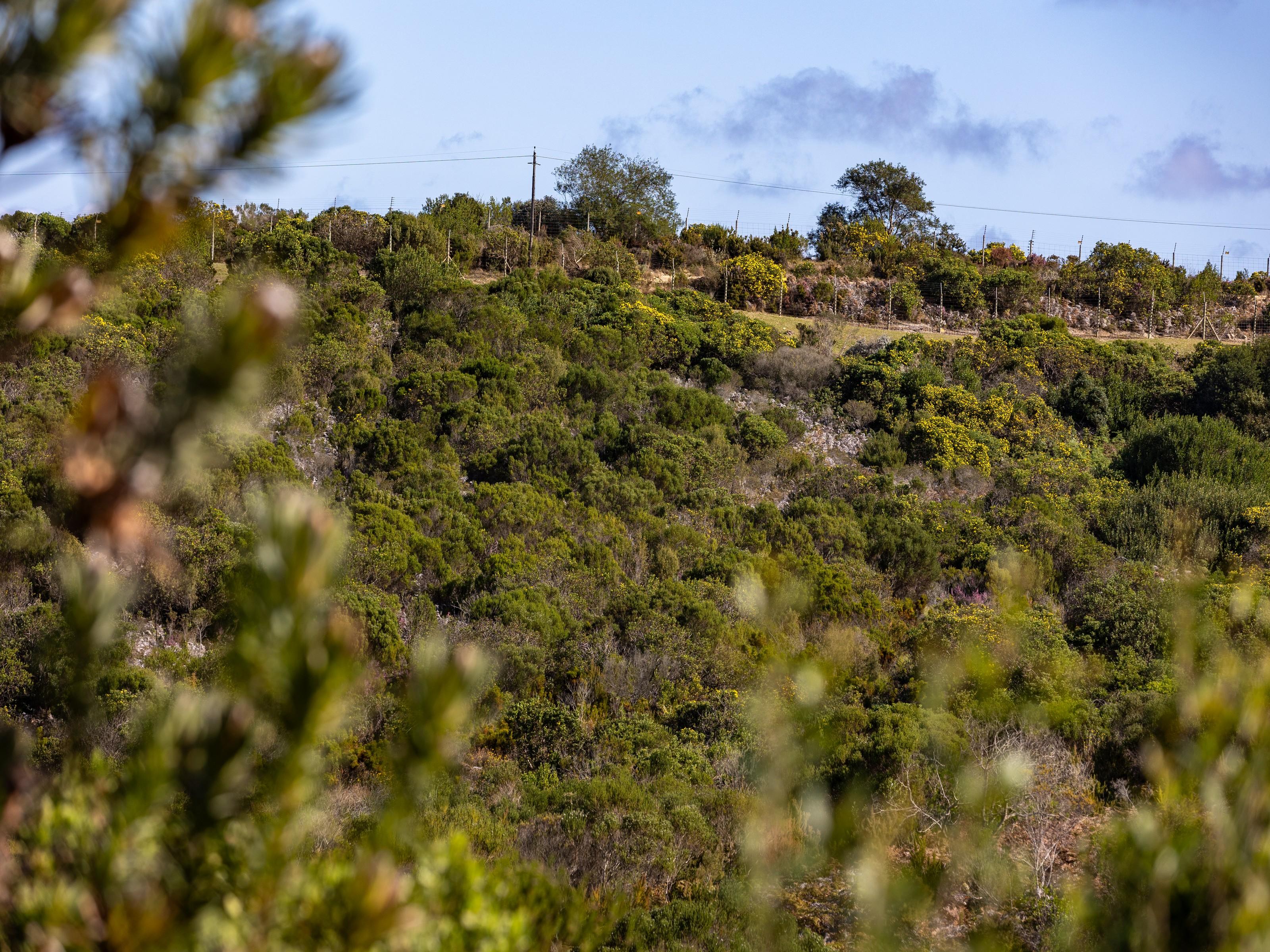 Image 15