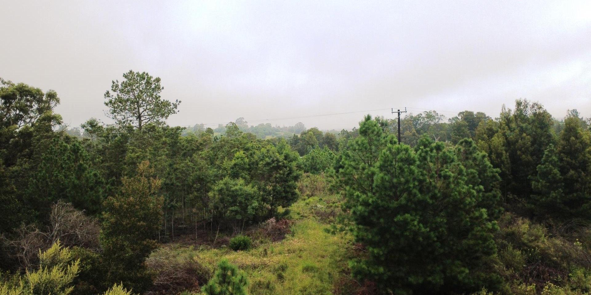 Image 4 of 6