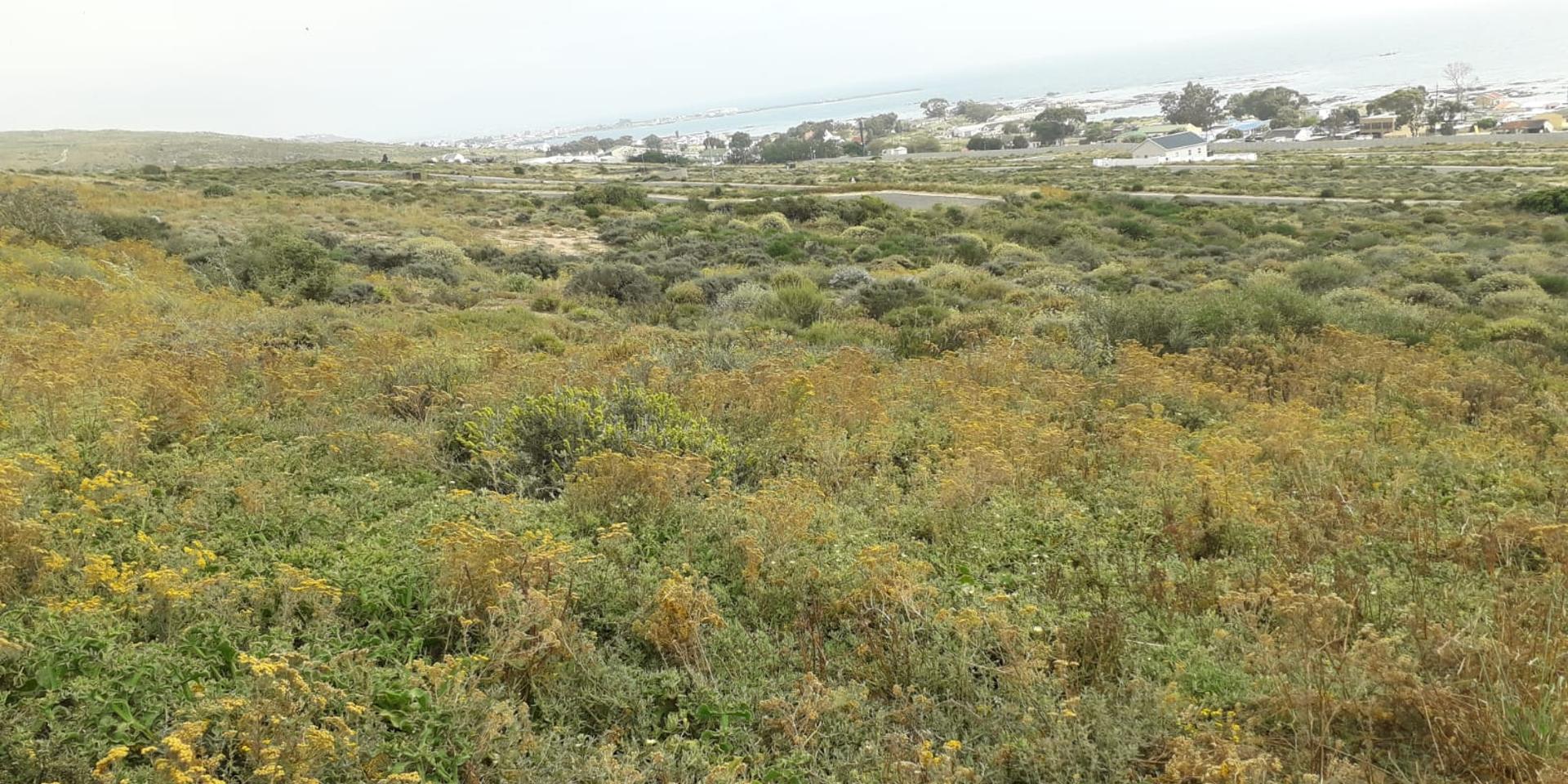 Image 4 of 6
