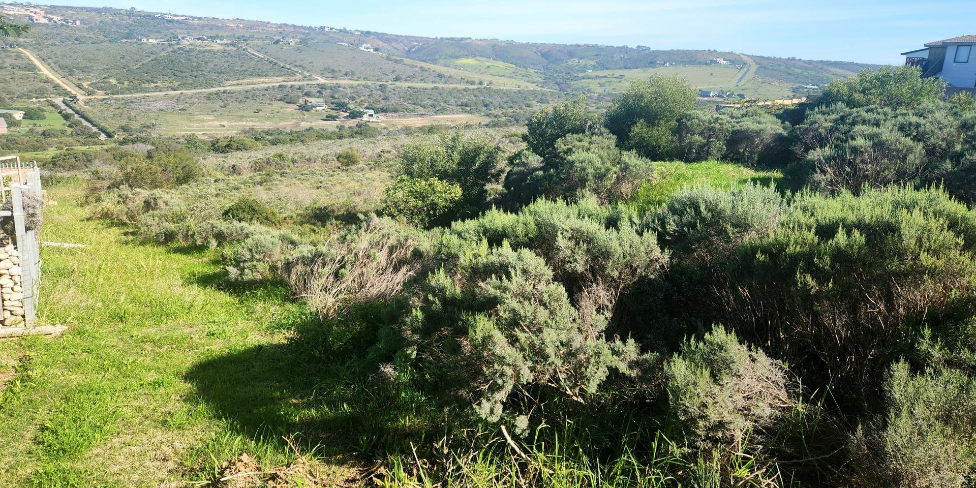 Image 3 of 6