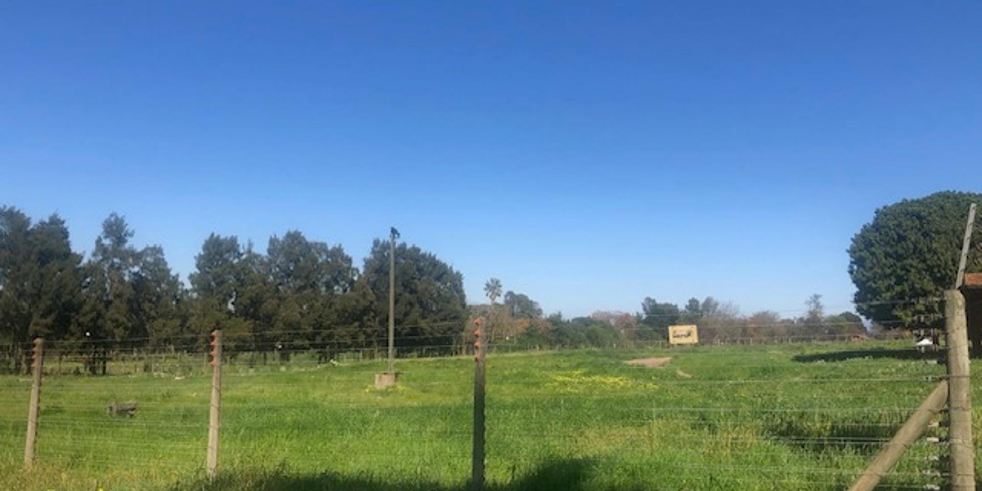 Image 5 of 6