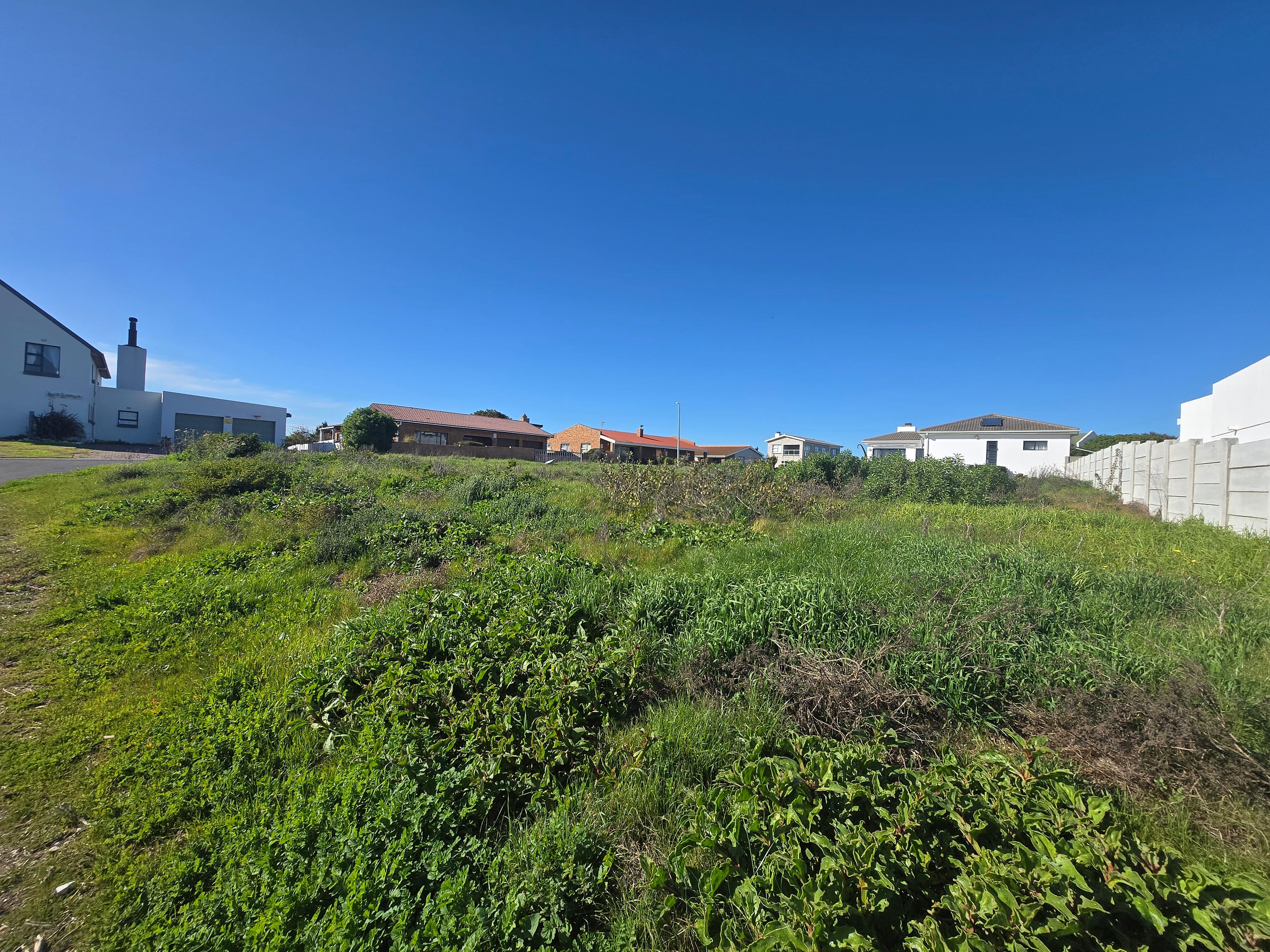 Image 4 of 6