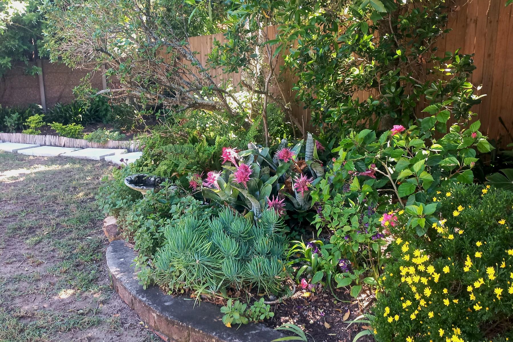 Image 53