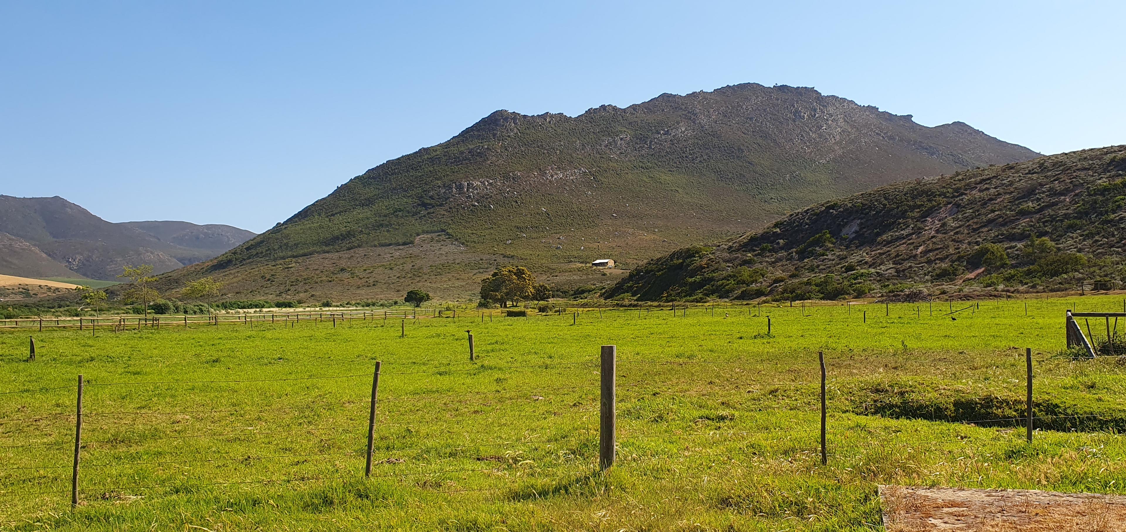 Image 96