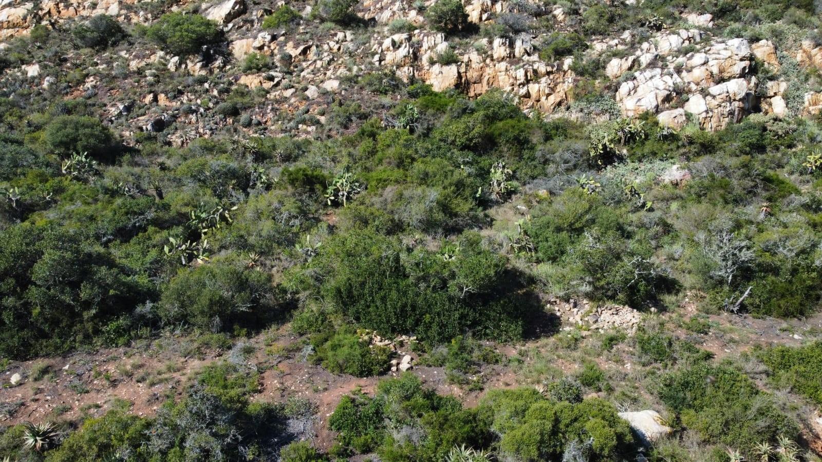 Image 15
