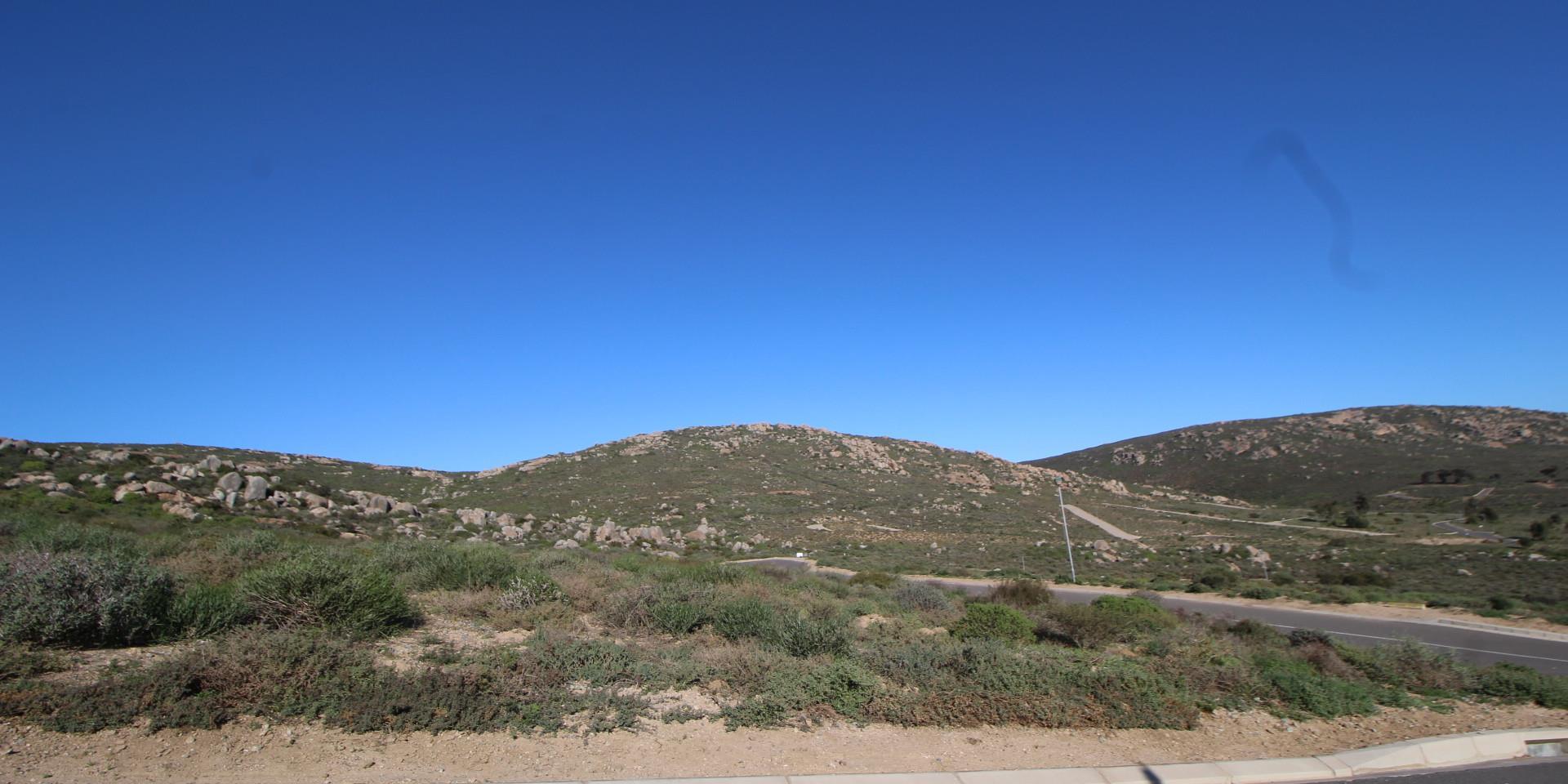 Image 5 of 6
