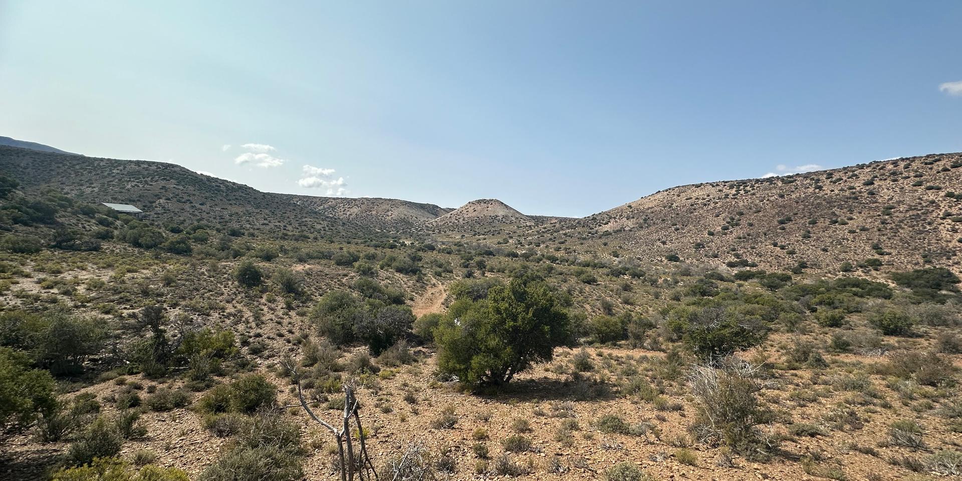 Image 4 of 6