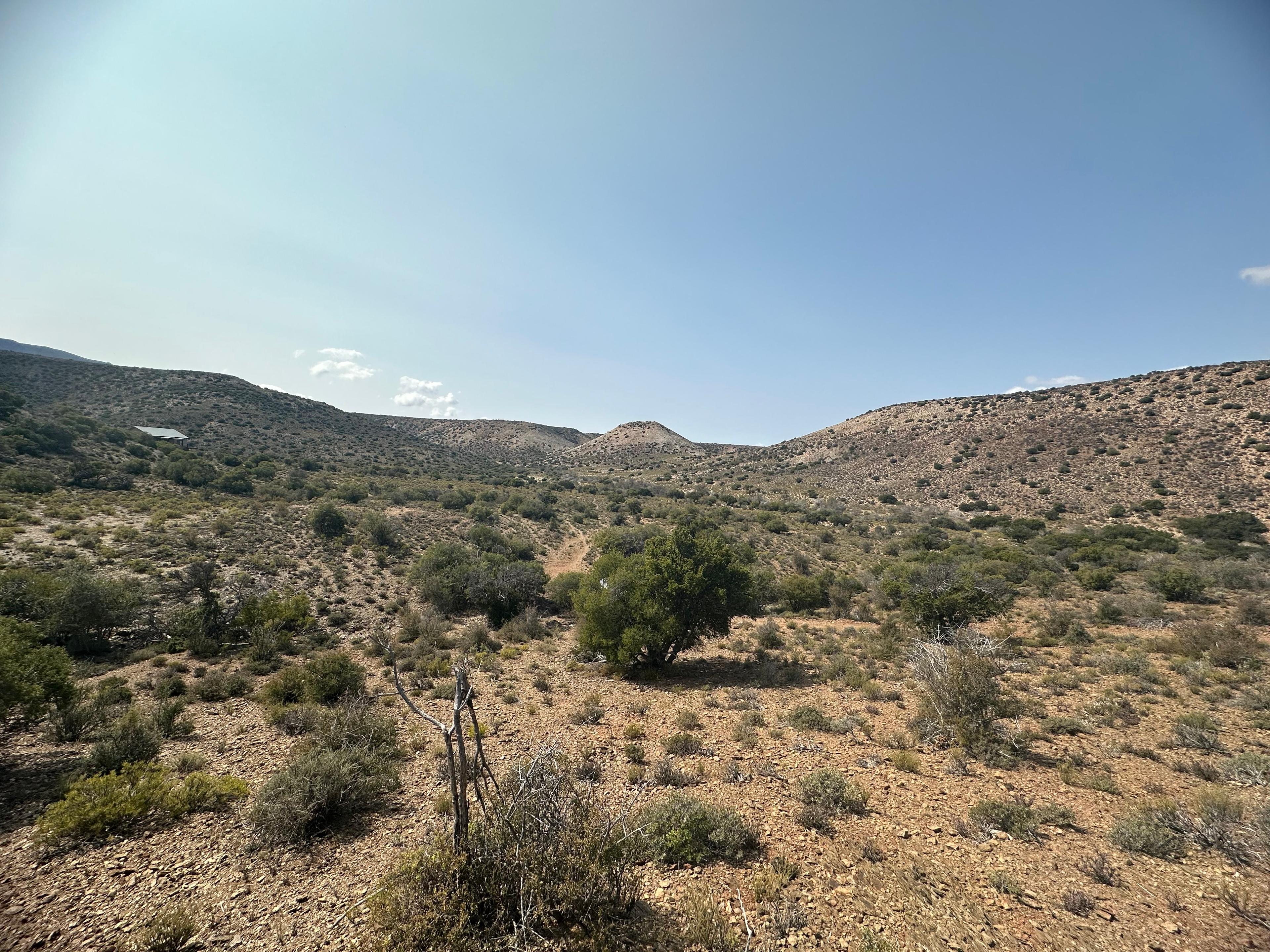 Image 4 of 6