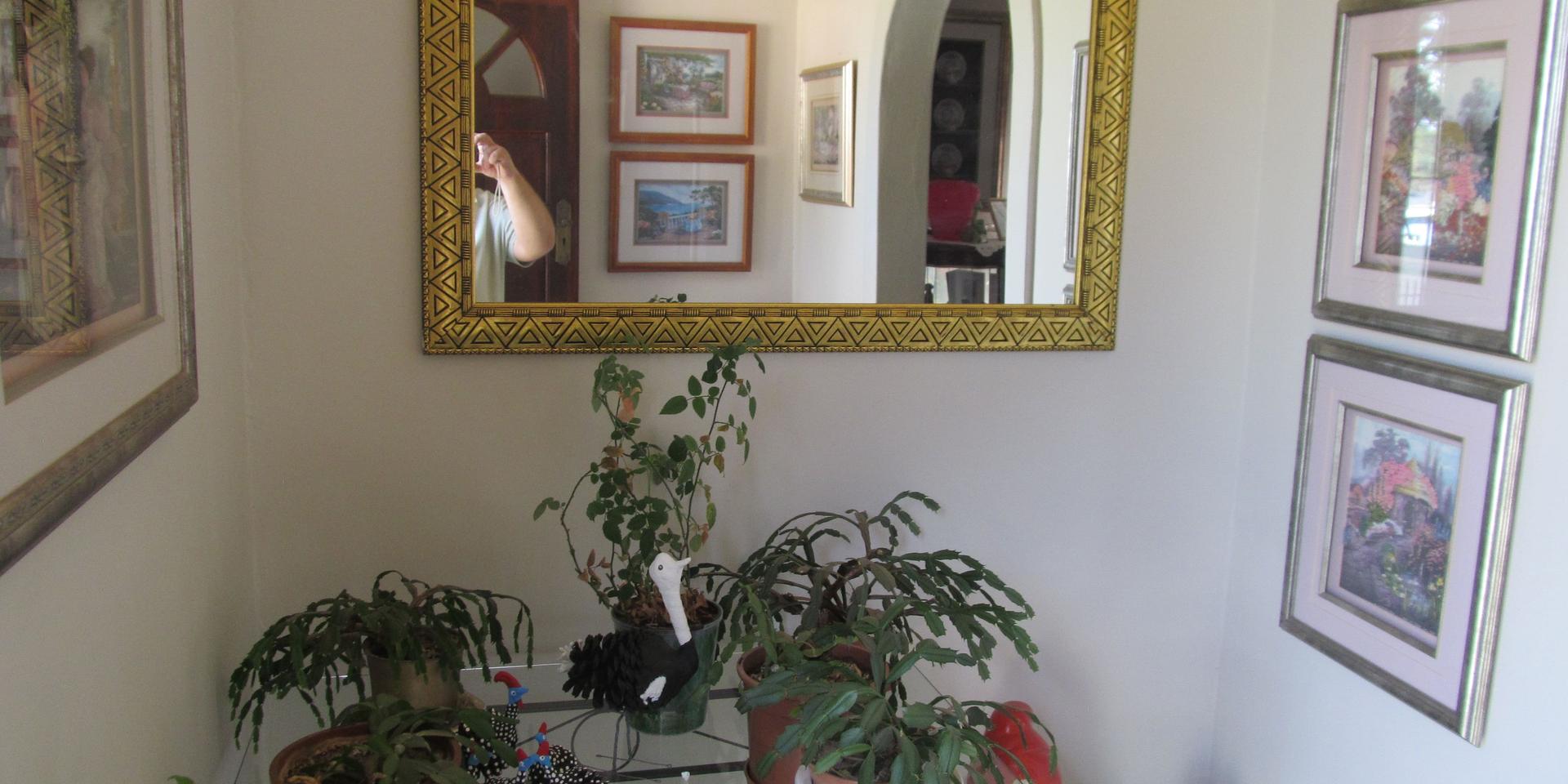 Image 5 of 6
