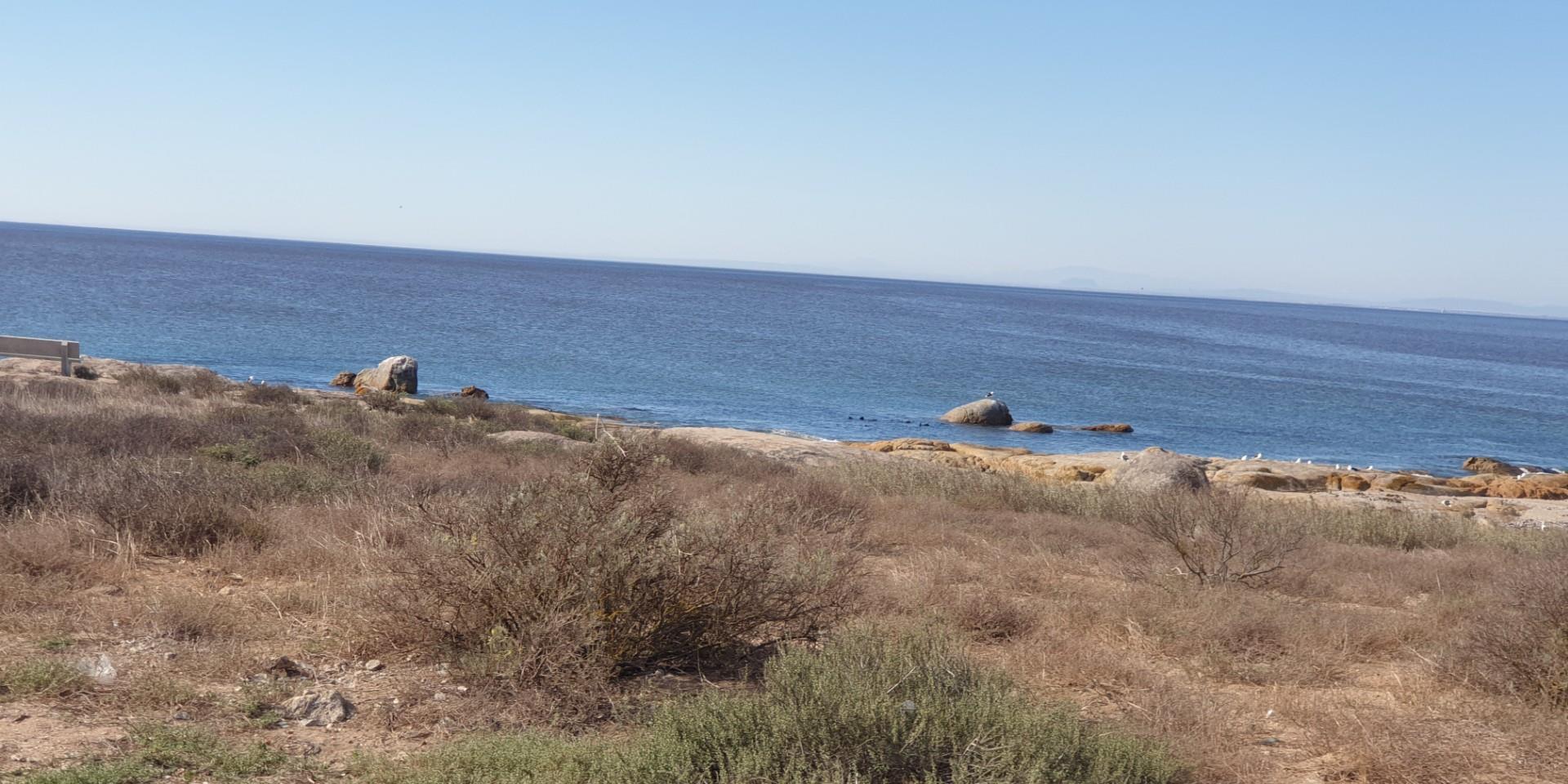 Image 3 of 6