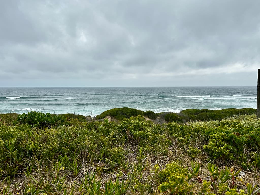 Image 5 of 6