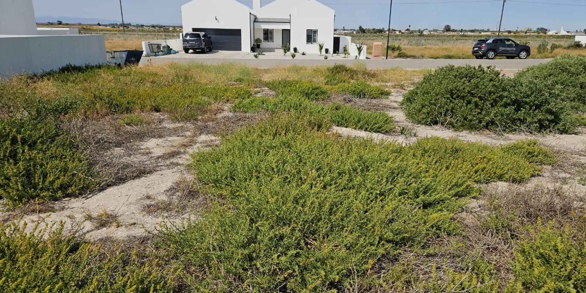 Image 3 of 6
