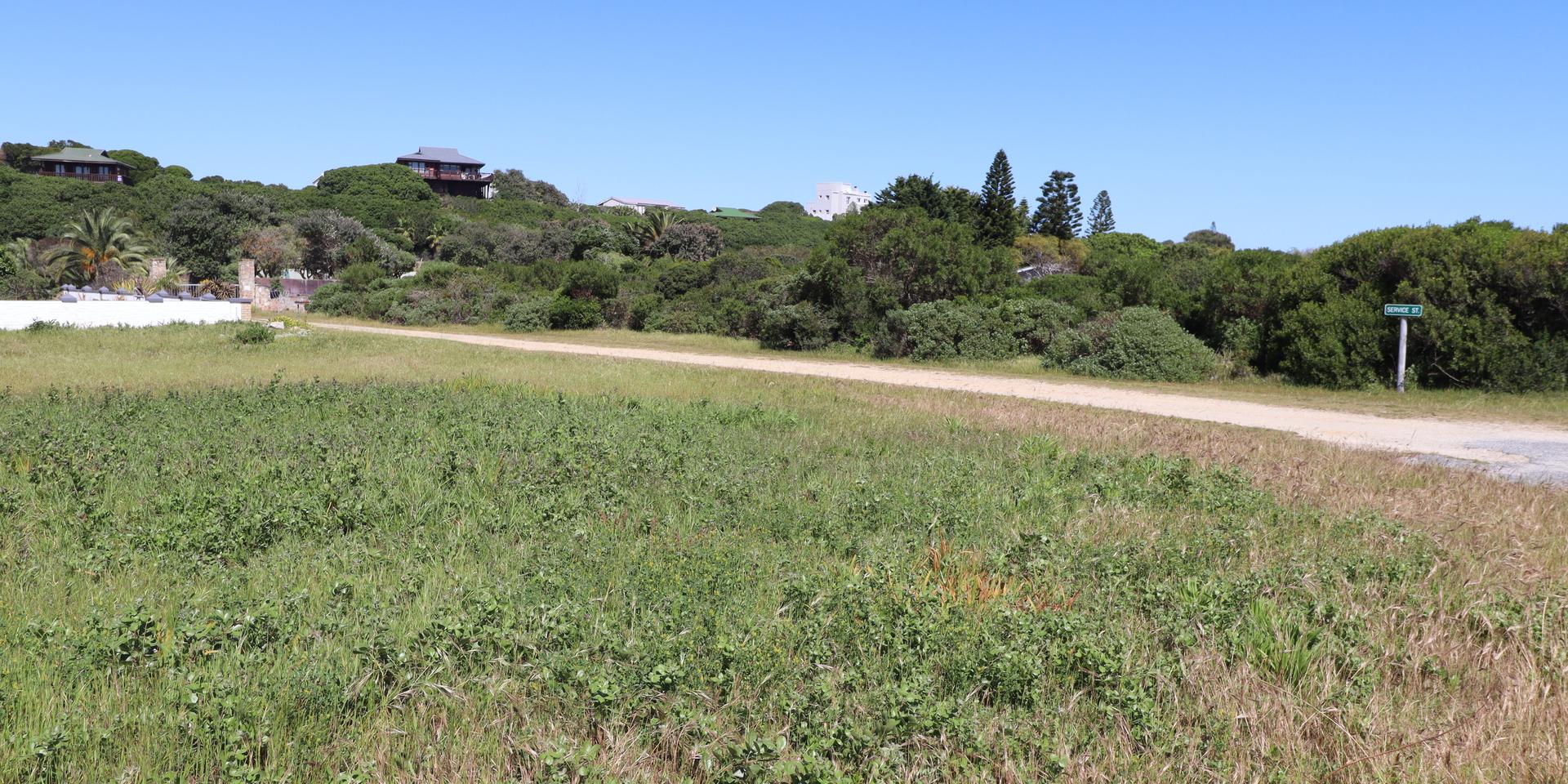 Image 5 of 6