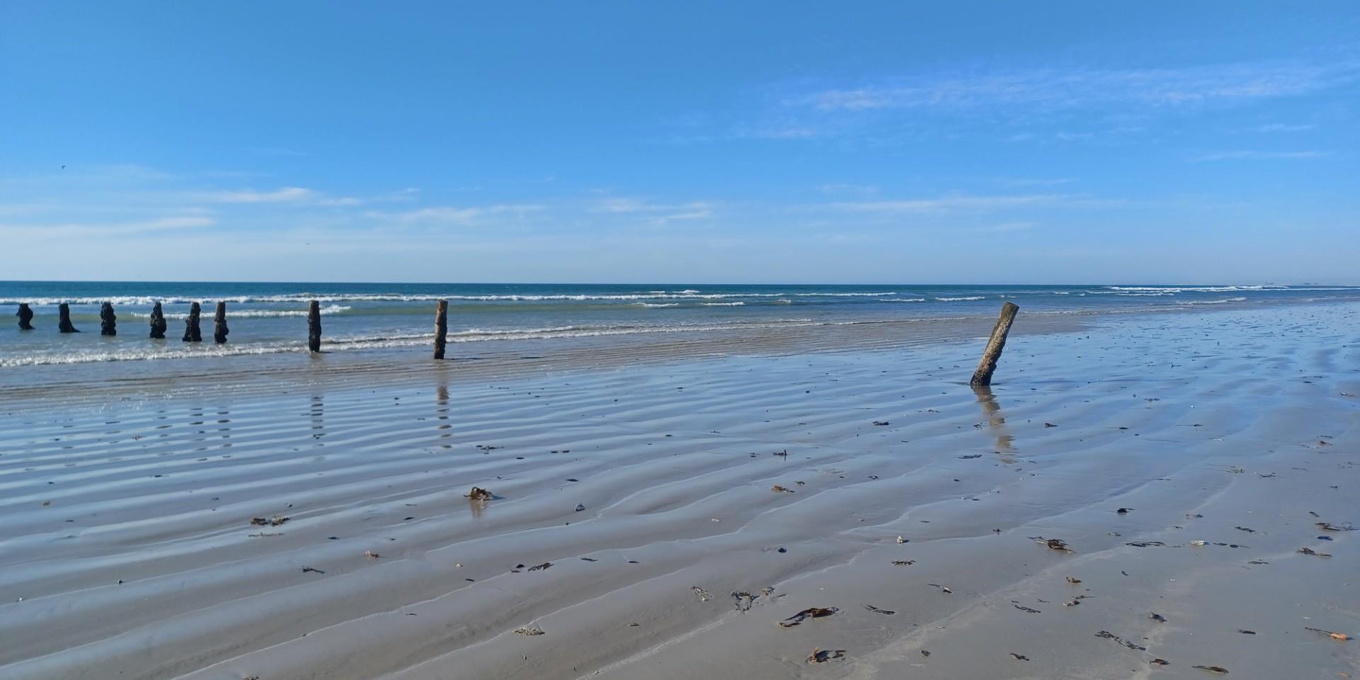 Image 5 of 6