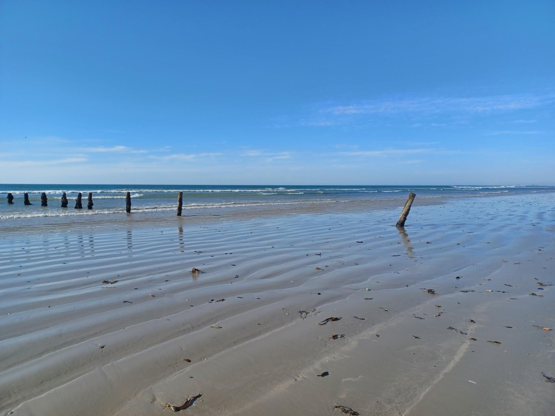 Image 5 of 6