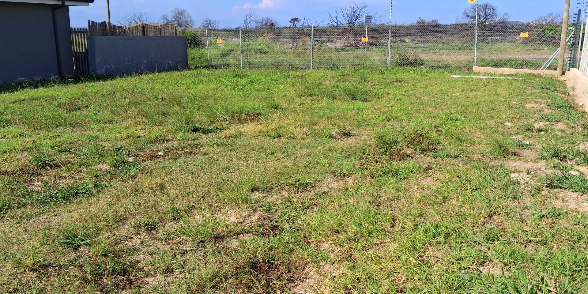 Image 4 of 6