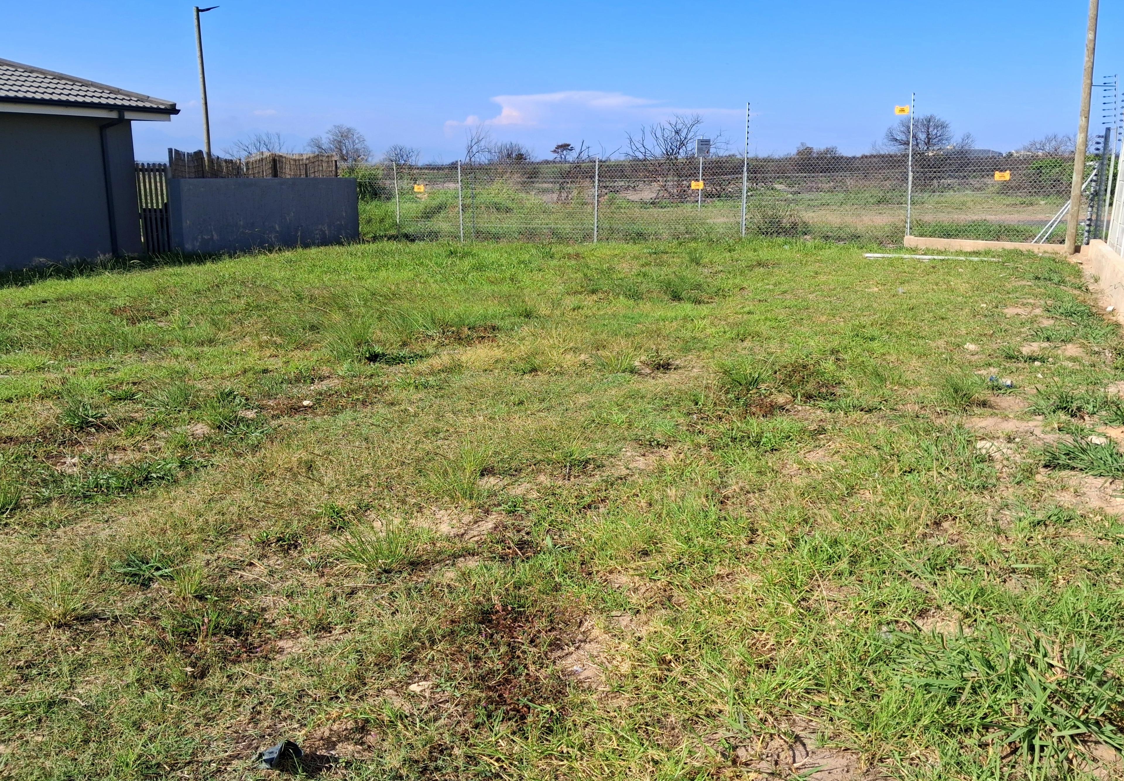 Image 4 of 6