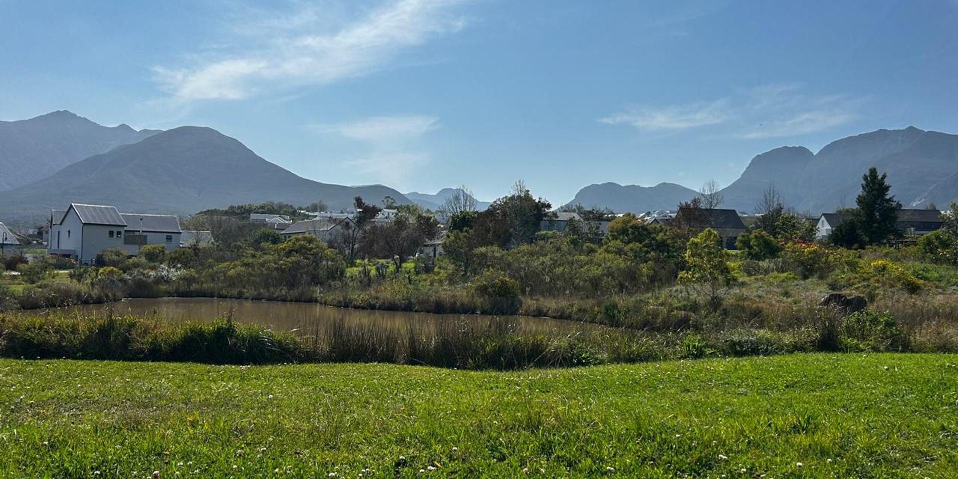Image 4 of 6